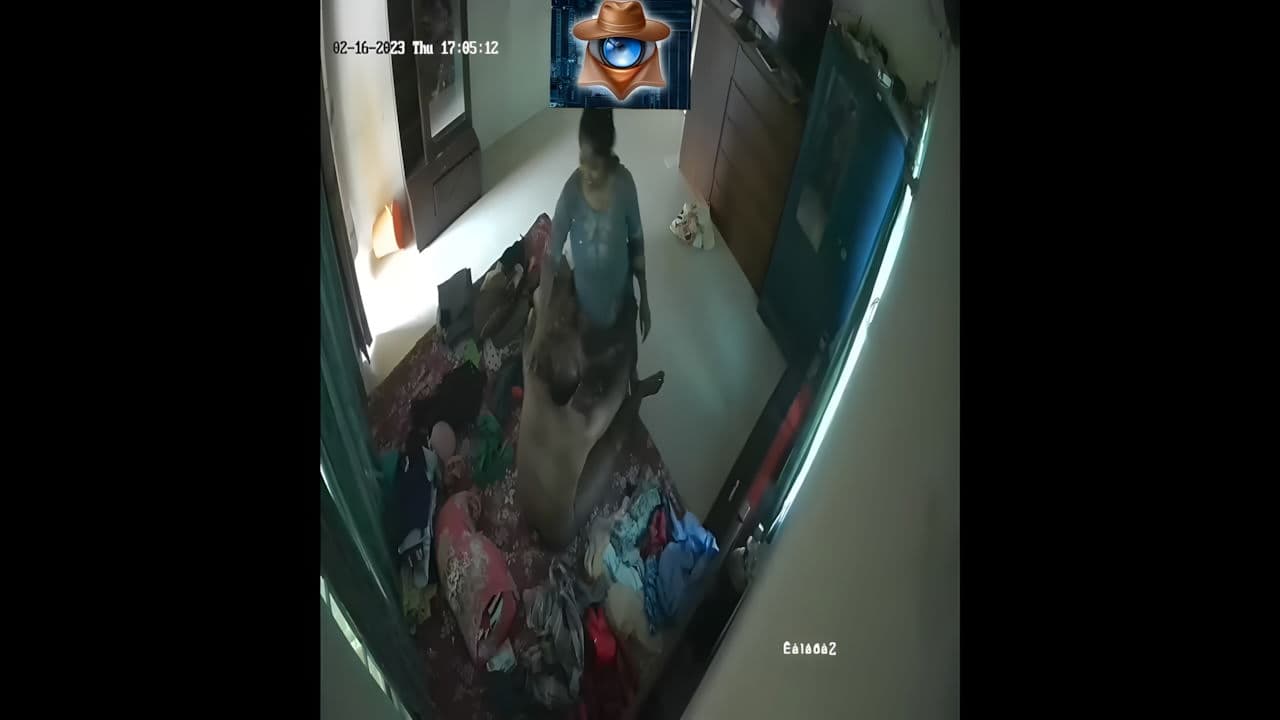 Hidden Lust Premum collection 23