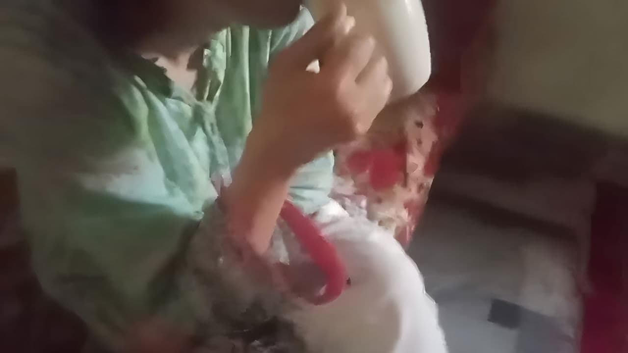 Desi Stepsister Ass and Pussy Fucked By Brother