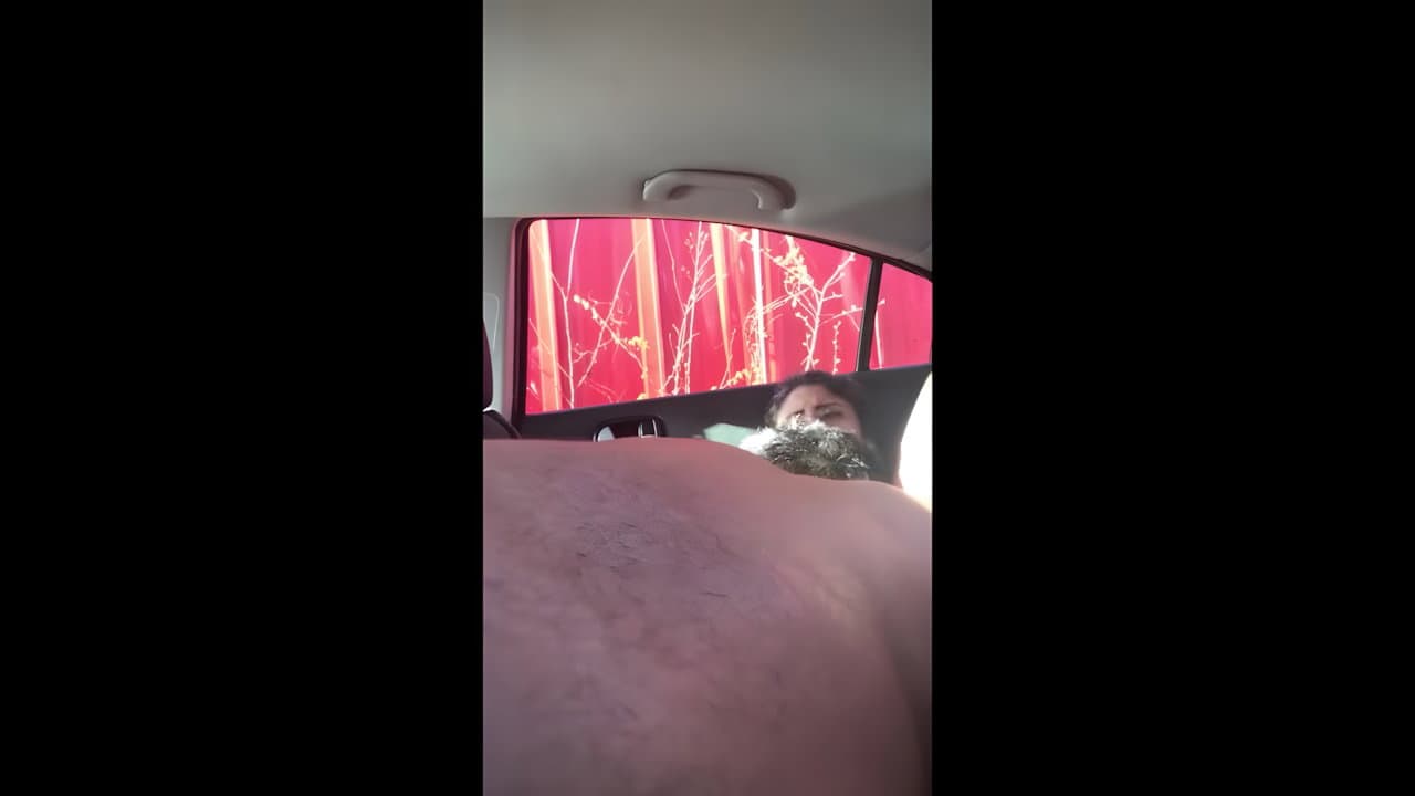 Sex in Car After BJ