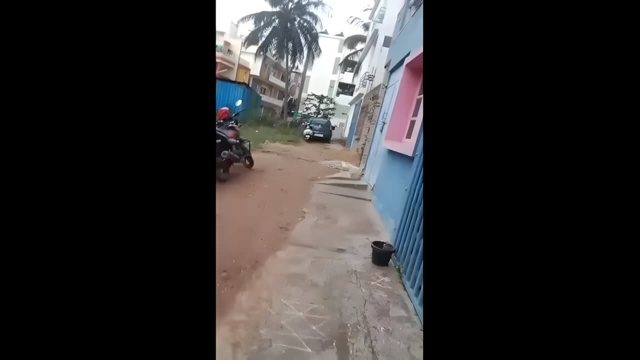 Sought Local Randi