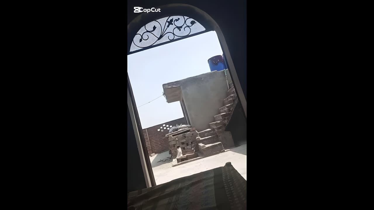 Couple Romance Alone At Home