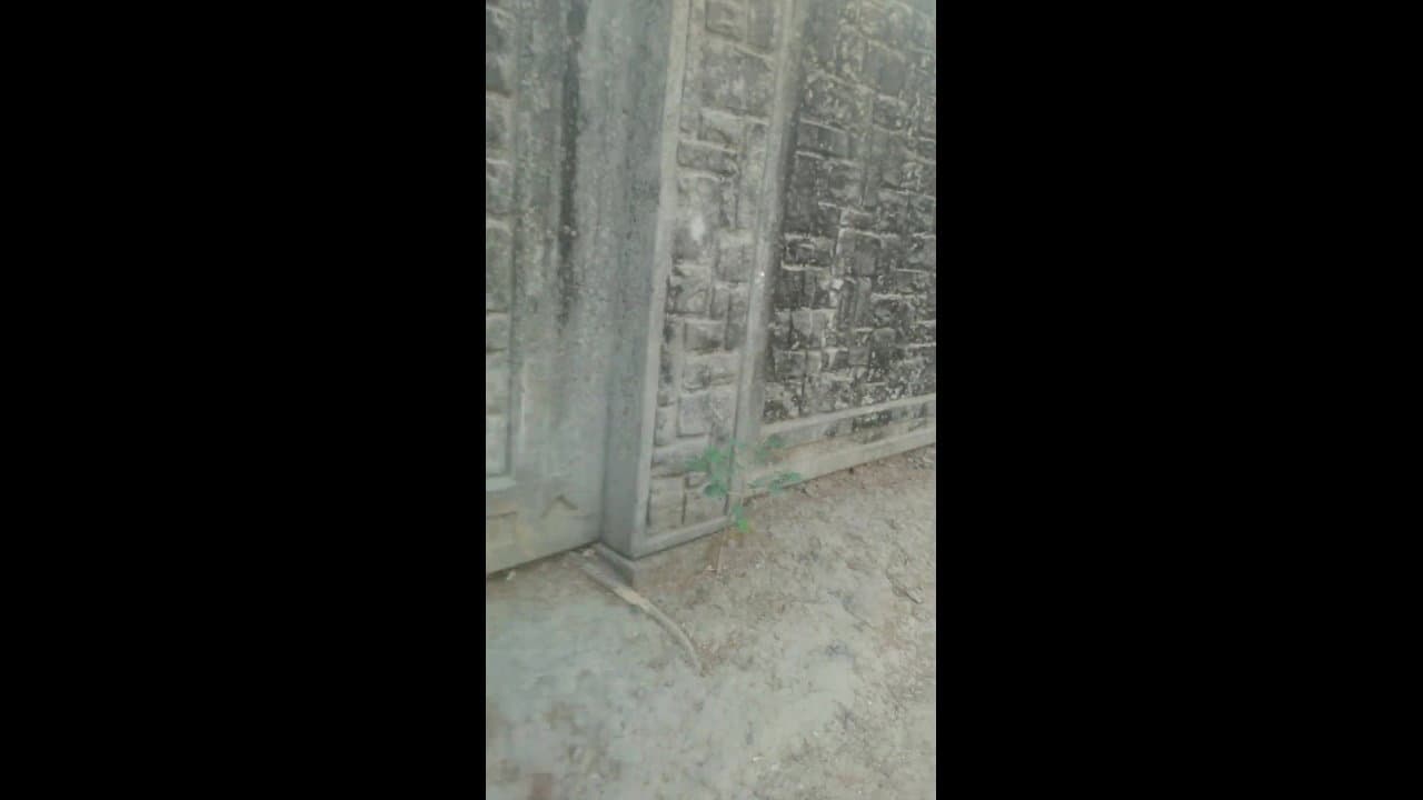 Old Aunty (1)