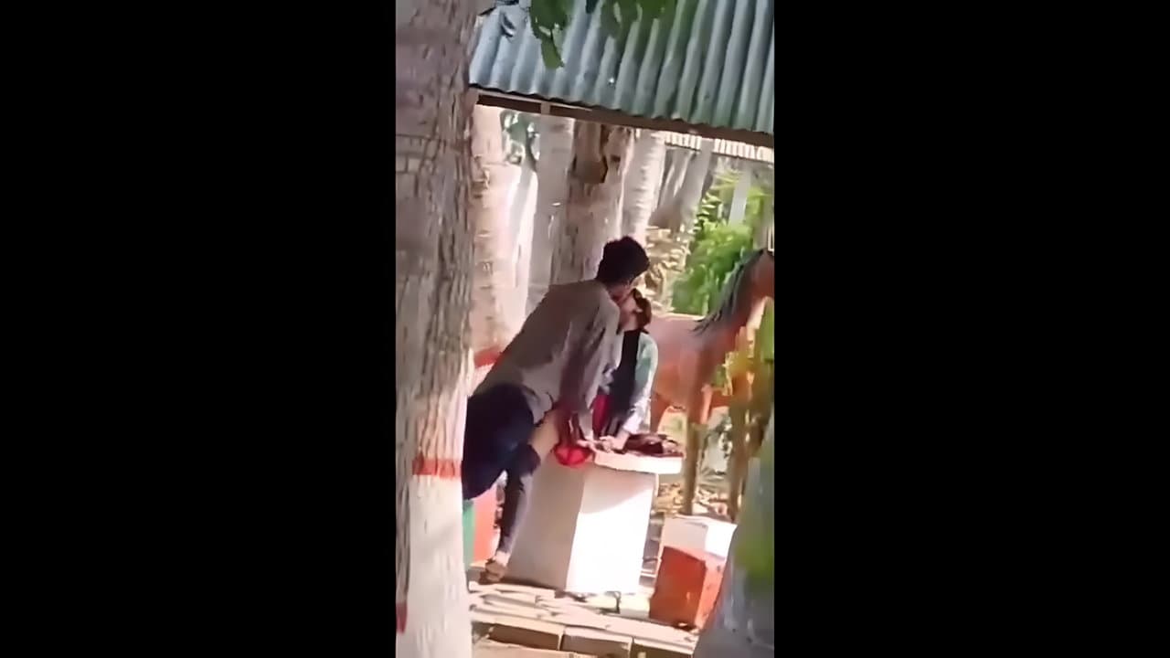 Lovers Secretly Fucking In Park