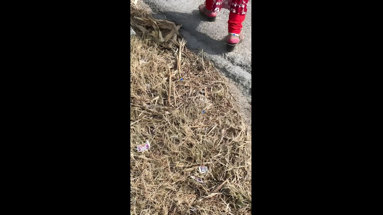 Girlfriend Fucked In Fields Outdoor