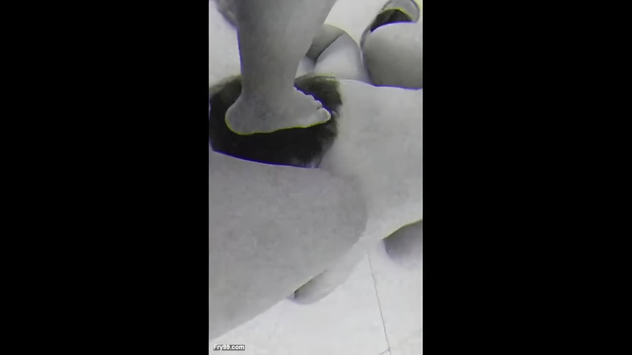 POV Slut Deepthroat Dick Sucking